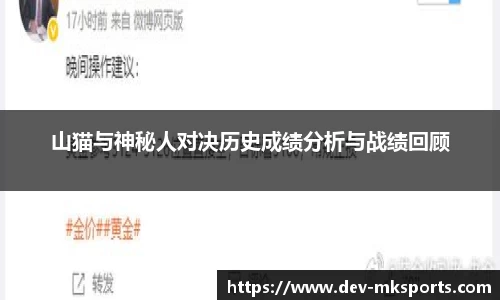 山猫与神秘人对决历史成绩分析与战绩回顾